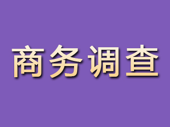 铜仁商务调查